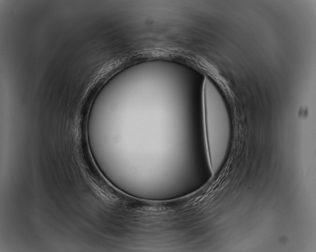 X0000100880250200806201154