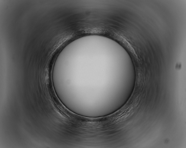 X0000100880251200806201154