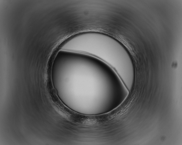 X0000100880252200806201154