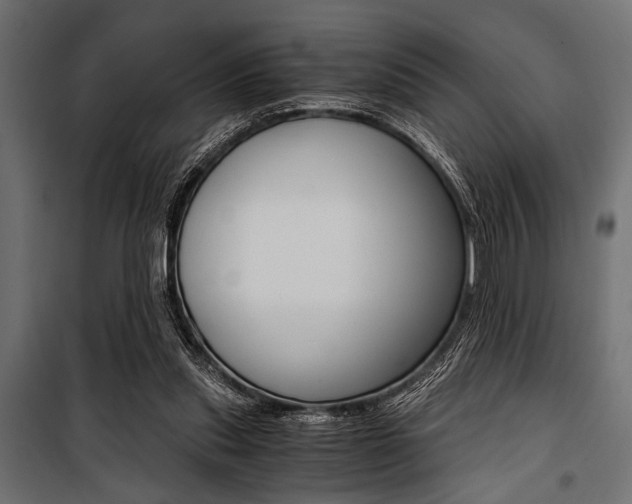 X0000100880253200806201154