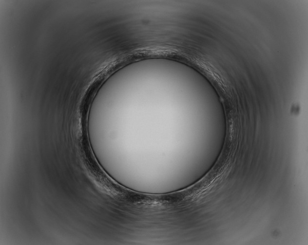 X0000100880254200806201154