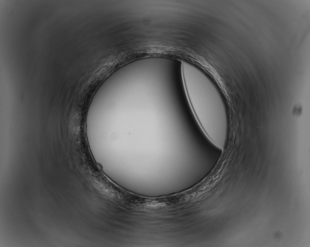 X0000100880257200806201154