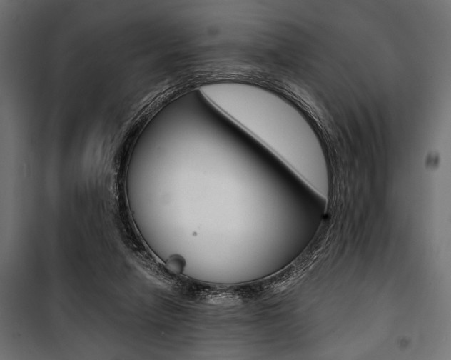 X0000100880258200806201154