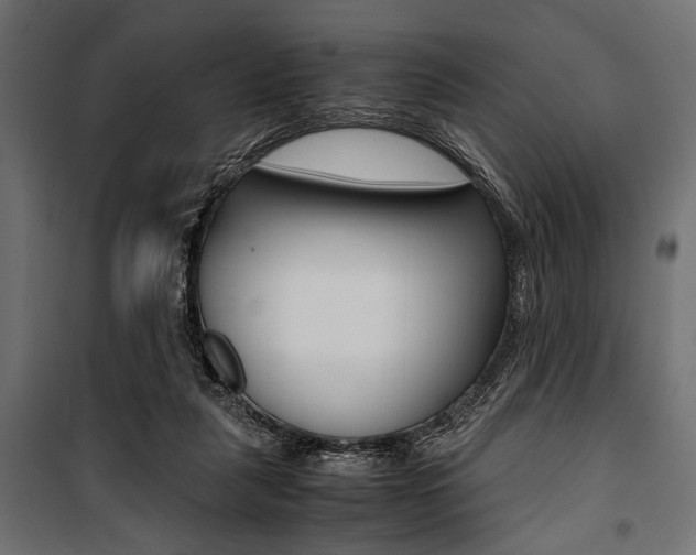 X0000100880259200806201154