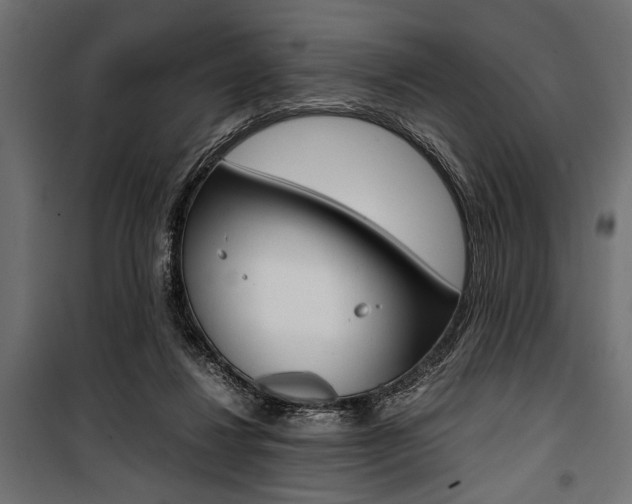 X0000100880260200806201154