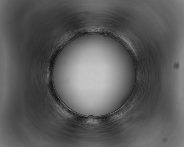 X0000100880261200806201154