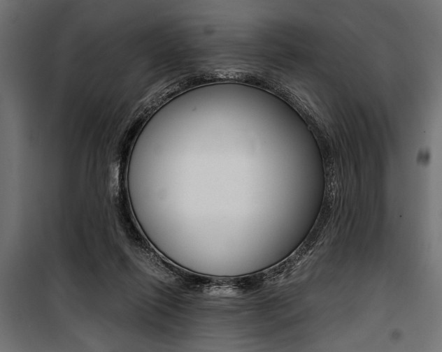 X0000100880262200806201154
