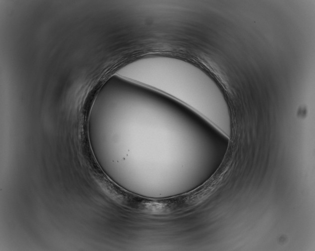X0000100880265200806201154