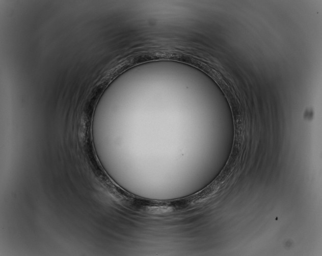 X0000100880266200806201154