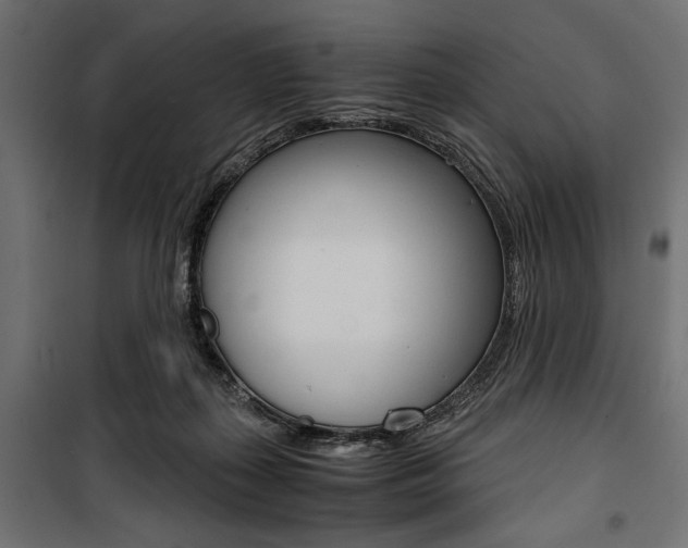 X0000100880267200806201154