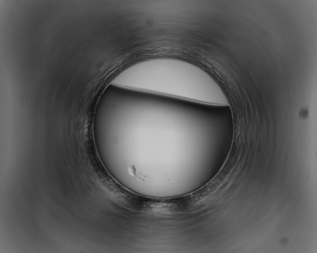 X0000100880268200806201154