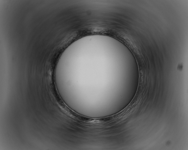 X0000100880269200806201154