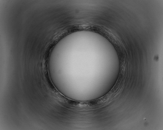 X0000100880270200806201154