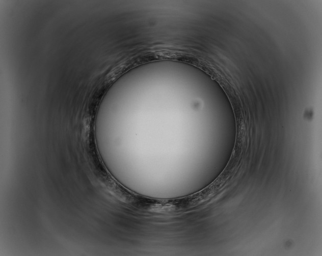 X0000100880271200806201154