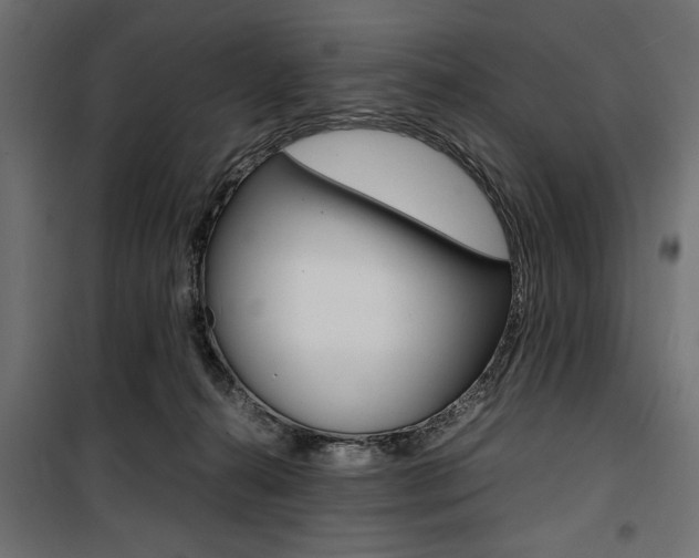 X0000100880272200806201154