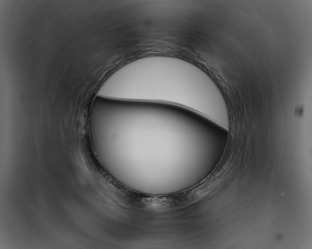 X0000100880273200806201154