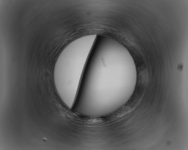 X0000100880274200806201154