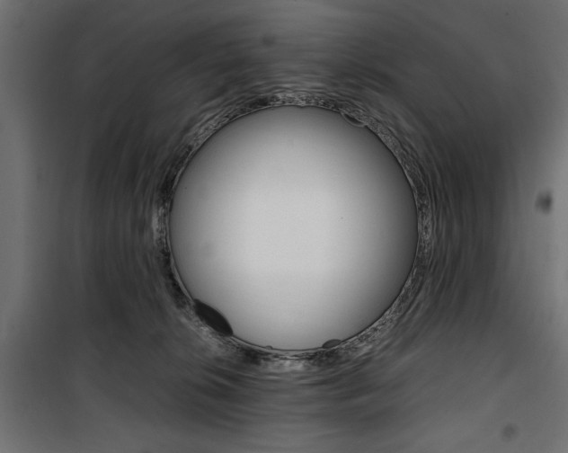 X0000100880276200806201154