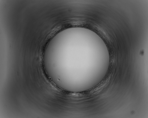 X0000100880277200806201154
