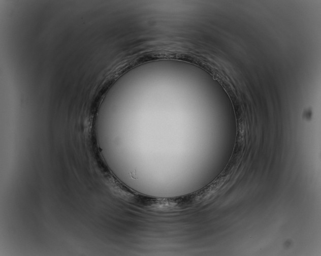 X0000100880278200806201154