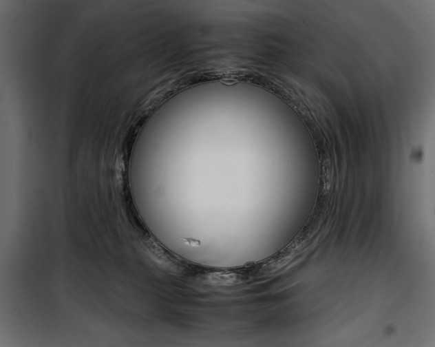 X0000100880279200806201154