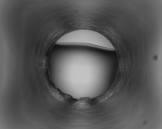 X0000100880280200806201154