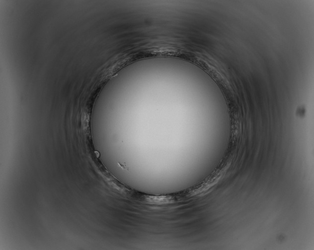X0000100880281200806201154
