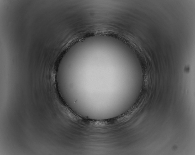 X0000100880282200806201154