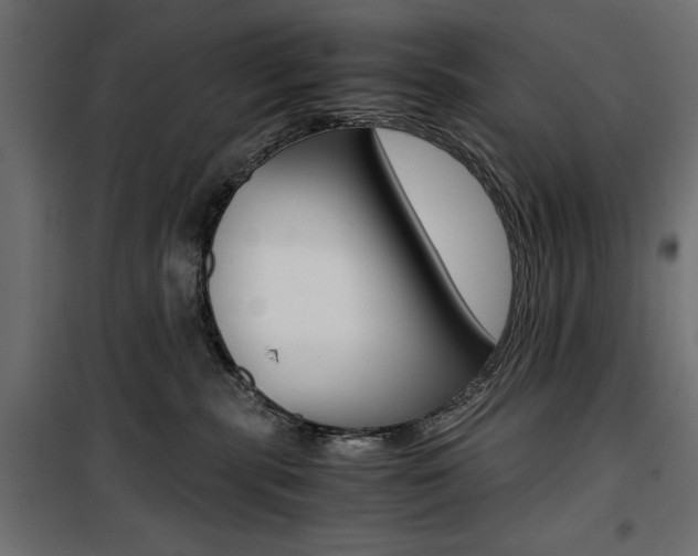 X0000100880283200806201154