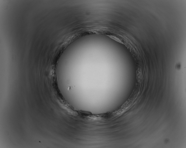 X0000100880284200806201154