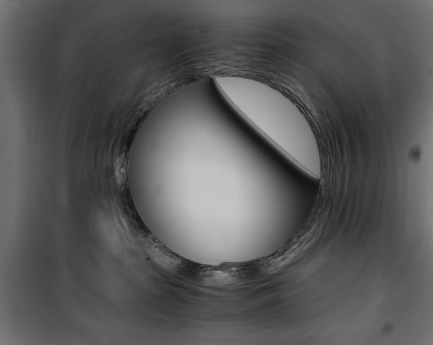X0000100880285200806201154
