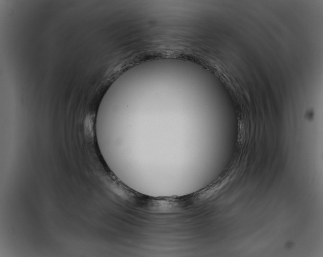 X0000100880286200806201154