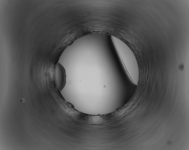 X0000100880287200806201154