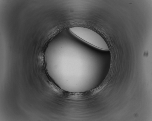 X0000100880288200806201154