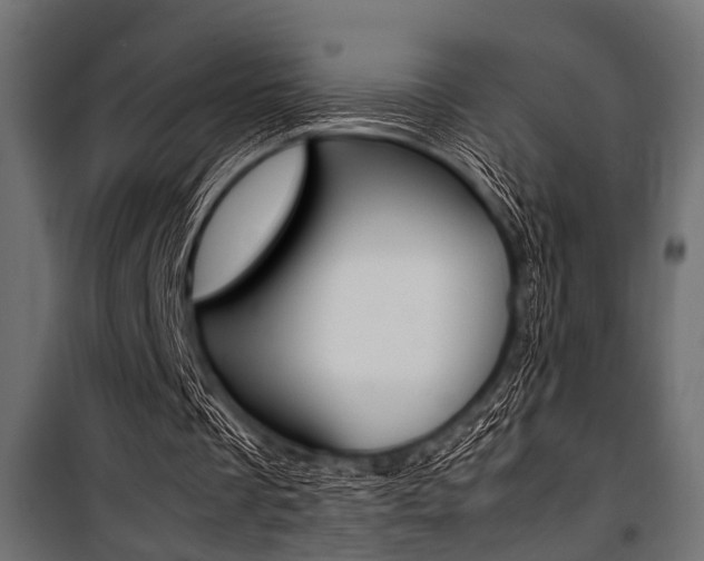 X0000100880289200806201153
