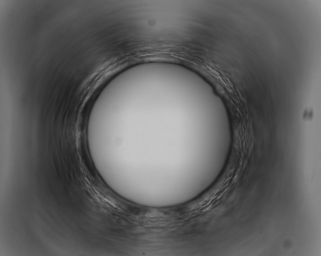 X0000100880290200806201153