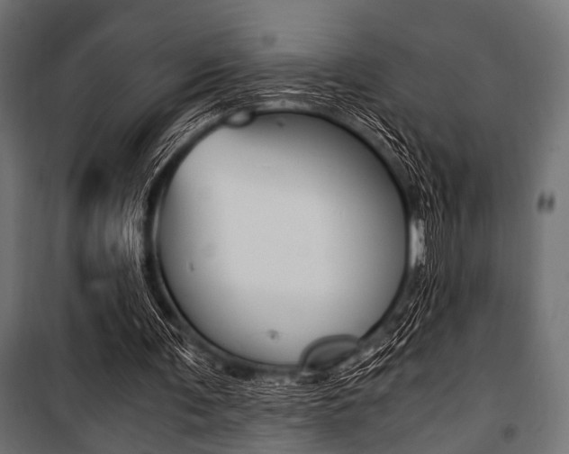 X0000100880291200806201153