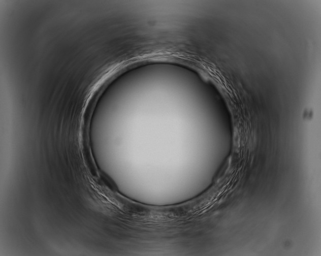 X0000100880292200806201153