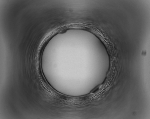 X0000100880293200806201153