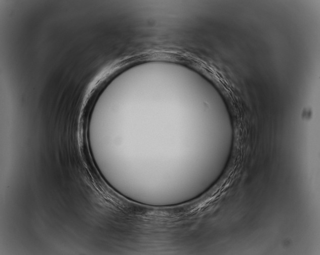 X0000100880294200806201153