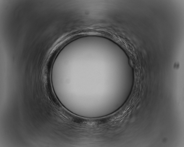 X0000100880295200806201153