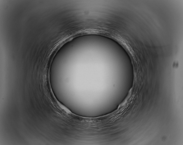 X0000100880297200806201153