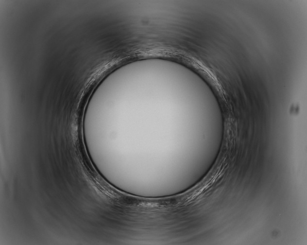 X0000100880298200806201153