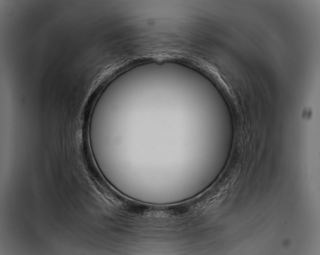 X0000100880299200806201153