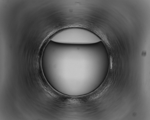 X0000100880300200806201153