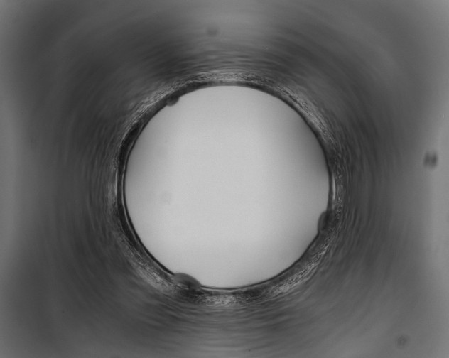 X0000100880301200806201153