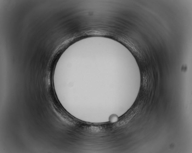 X0000100880302200806201153