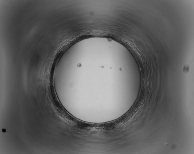 X0000100880303200806201153