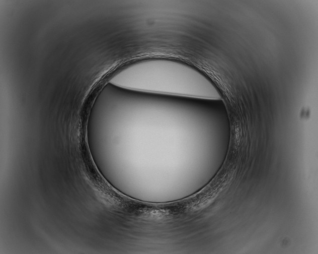 X0000100880304200806201153