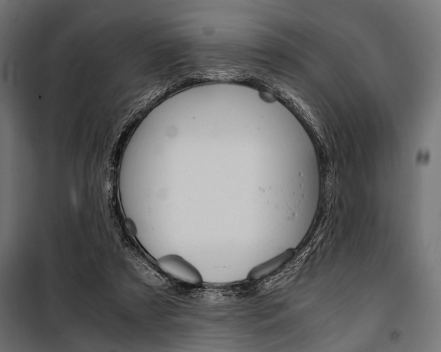 X0000100880305200806201153